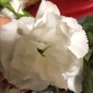 Meet your Posher, Ma.dolores